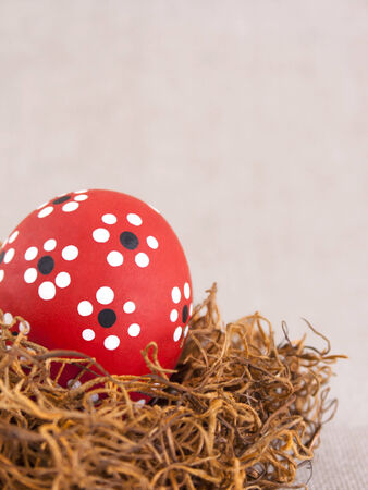 Red Easter egg on nestの写真素材