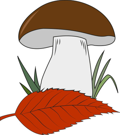 Autumn forest mushroom and leaf vector illustrationのイラスト素材