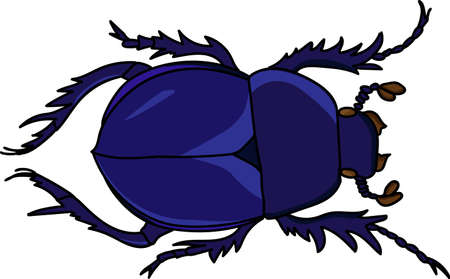 Dung beetle on a white backgroundのイラスト素材