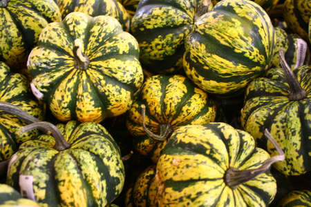 Fresh pumpkins on a marketの写真素材
