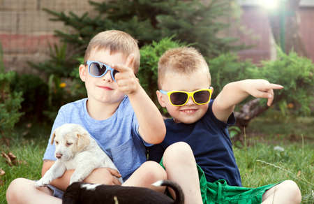 Two little brothers playing outdoor with puppies, smiling. Summer day.
