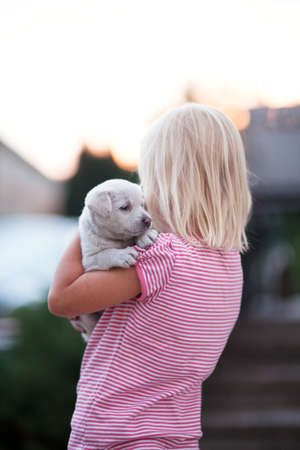 Little girl holding cute small puppy. Summer day. Sunset.の写真素材
