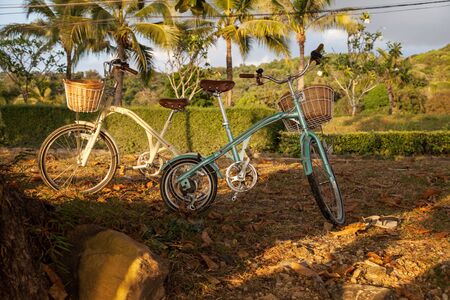 Fashionable bikes in Thailand.の写真素材