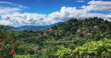 Photo of upper city landscape. Sunny summer day. Bergamo, Italy.