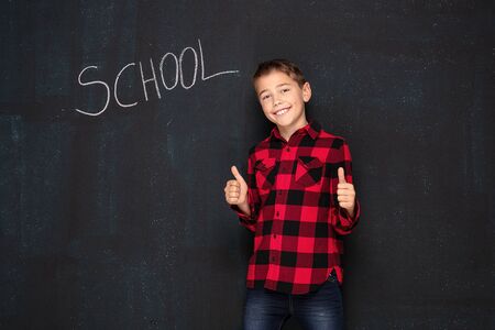 Smiling teenage boy in a checkered fashionable shirt posing against black chalk board with school...