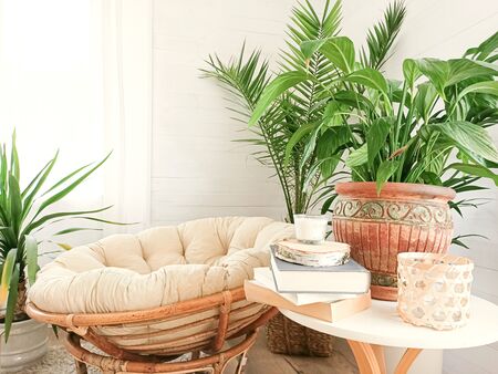 House with cozy boho ethnic interior in living room. Green plants in flower pots. Decoration at...