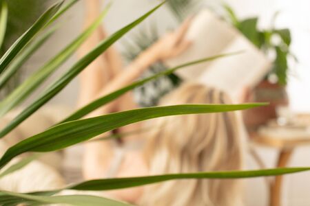 Young woman relaxing at boho home with book over various green plants. Self-development and leveling up your skills.の写真素材