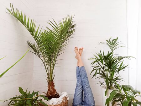 Photo of girl with legs in jeans up, resting in home , lying over green houseplants.の写真素材
