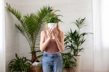 Young woman holding green plant in front of her face. Home gardening concept. Nature lover.の写真素材