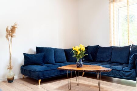 Stylish boho living room interior with design navy blue sofa, wooden handmade coffee table.Cozy...