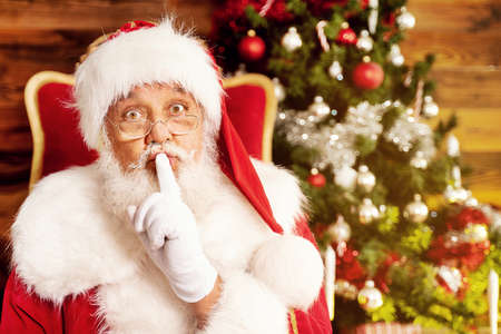 Real Santa Claus with gifts and beautiful Christmas tree. Christmas concept.の写真素材