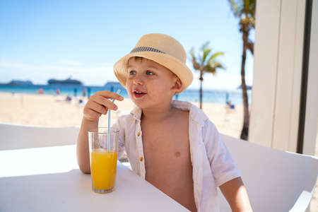 Summer Holidays. Little happy Boy having fun at the beach. Travel and Vacation concept.の写真素材