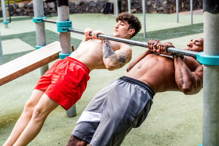 Two friends doing workout together outdoor. Fitness, sport, exercising, training, calisthenics and...