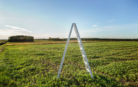 Photo of white wooden ladder on the green fields leading high up in the blue sky. Conceptual photo.の写真素材