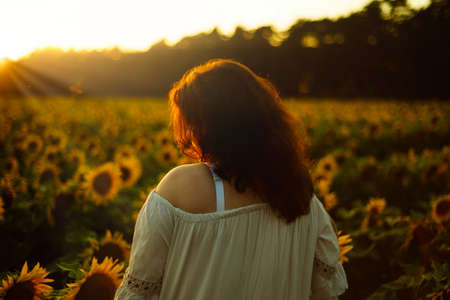girl in a field of sunflowers at the sunset enjoing the scene and the sunraysの写真素材