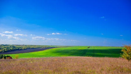 landscape with a green field and blue skyの写真素材