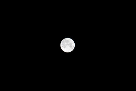 Full Moonの写真素材