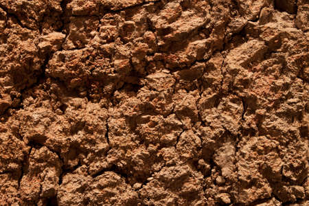 drought soilの写真素材