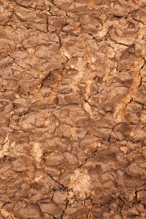 drought soilの写真素材