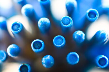 Closeup hair brushの写真素材