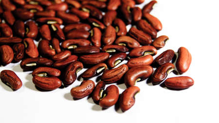 Beans seed close up
