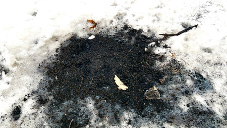 The first snow on the ground. Early spring.の写真素材