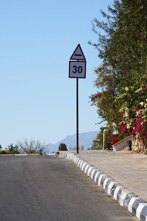 A blank wide road/city sign against blue sky and flower  の写真素材
