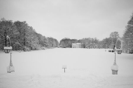Some lamp in front of palace  の写真素材