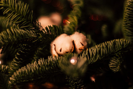 Decored nobilis treeの写真素材