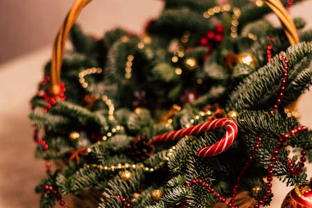 Decored nobilis treeの写真素材