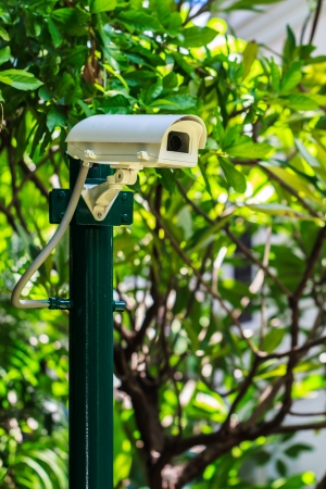 Security Camera in the Garden, CCTV Cameraの写真素材