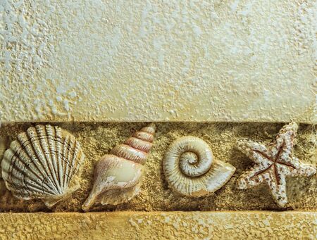 Sea Shells on Brown Background, copy space aboveの写真素材