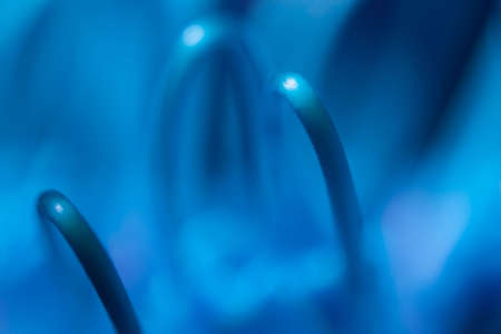 Abstract backgroundの写真素材