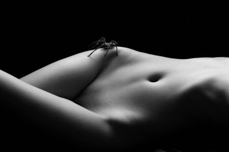 Low key studio shot of spider on  womanの写真素材