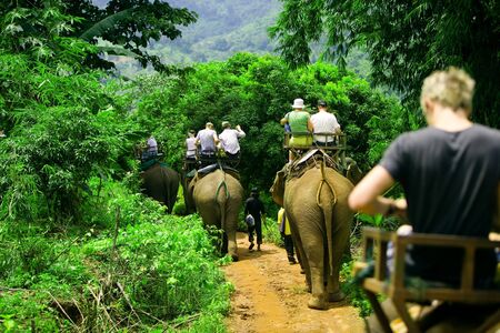 Tourist group rides through the jungle on the backs of elephantsの写真素材