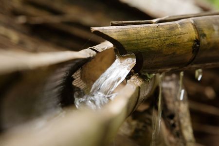 Bamboo lengths of pipe set up to direct waterの写真素材