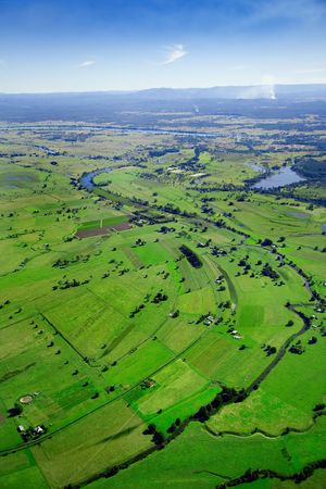 Aerial shot of lush green sugarcane farmland