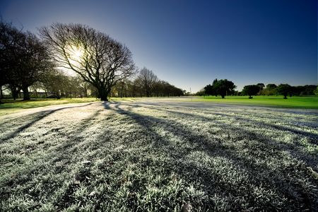 Early morning frost on grassy field in New Zealandの写真素材