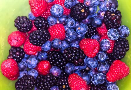 Raspberry berries currant and blackberriesの写真素材