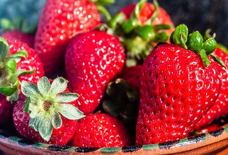 A plate of organic strawberries on a black backgroundの写真素材