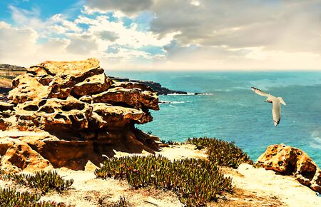 Atlantic landscape with an eroded rockの写真素材