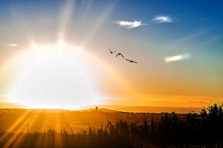 The sun shining at sunrise with a few clouds and a few birds in flightの写真素材