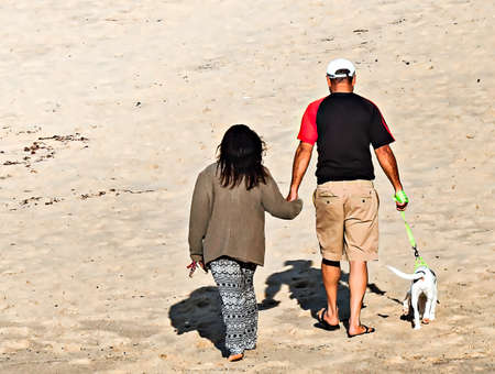 A man and a woman on the beach walking with the puppyの写真素材