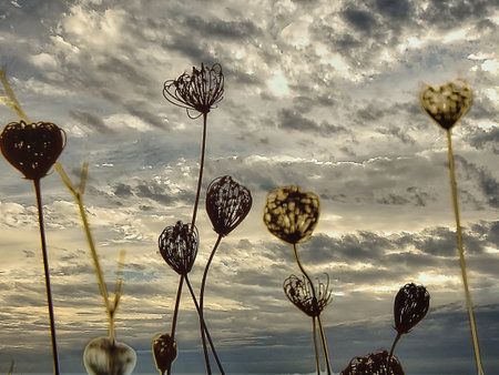Sparks dry in the morning light with a dramatic colorful skyの写真素材