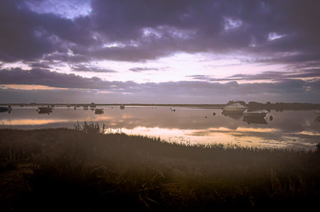 Early morning on the canal before sunrise with a little fogの写真素材