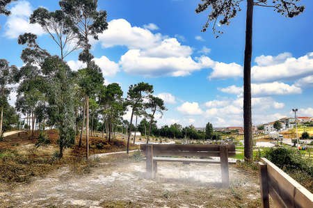 Summer day on the alleys in the parkの写真素材
