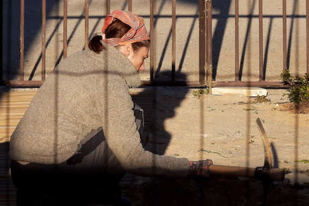 Woman in headscarf working in the garden in the sunset lightの写真素材