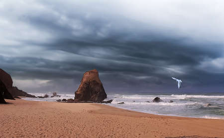 Seascape with a rock in the ocean and a seagull in flightの写真素材