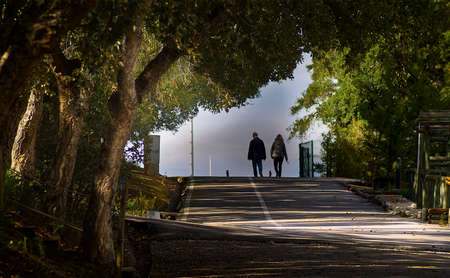 Two people in an alley among the trees