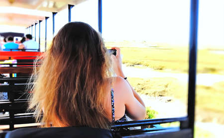 The back of a woman with red hair taking picturesの写真素材